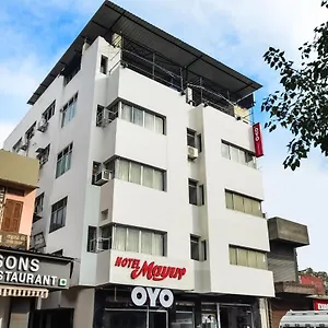Oyo 23086 Mayur Udaipur